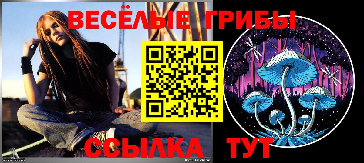 Псилоцибиновые грибы ЛСД  купить наркоту  Новокузнецк  Вход с VPN  Галлюциногенные грибы MAGIC MUSHROOMS 